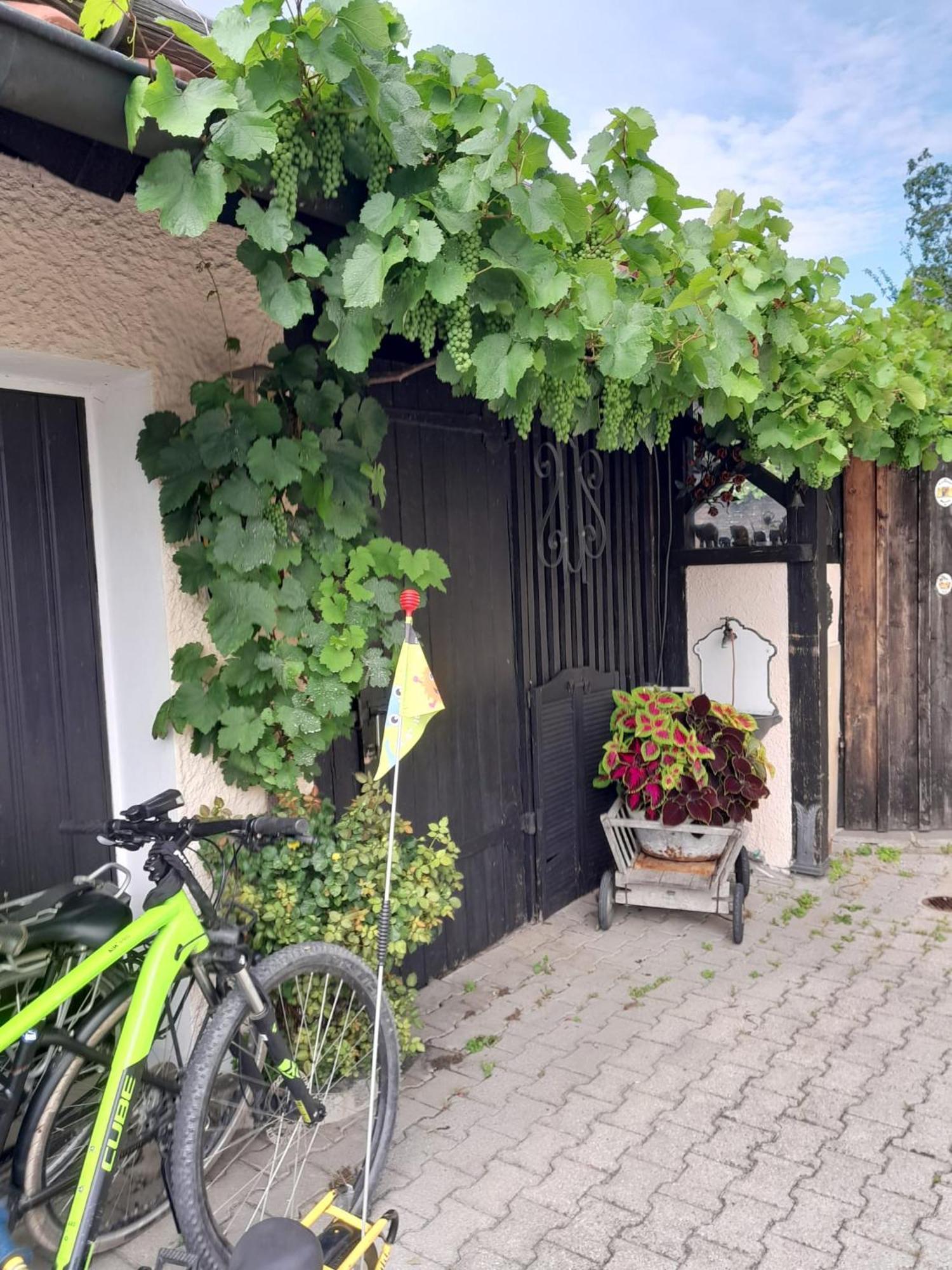 Ferienhaus Resch Laufen Exterior foto