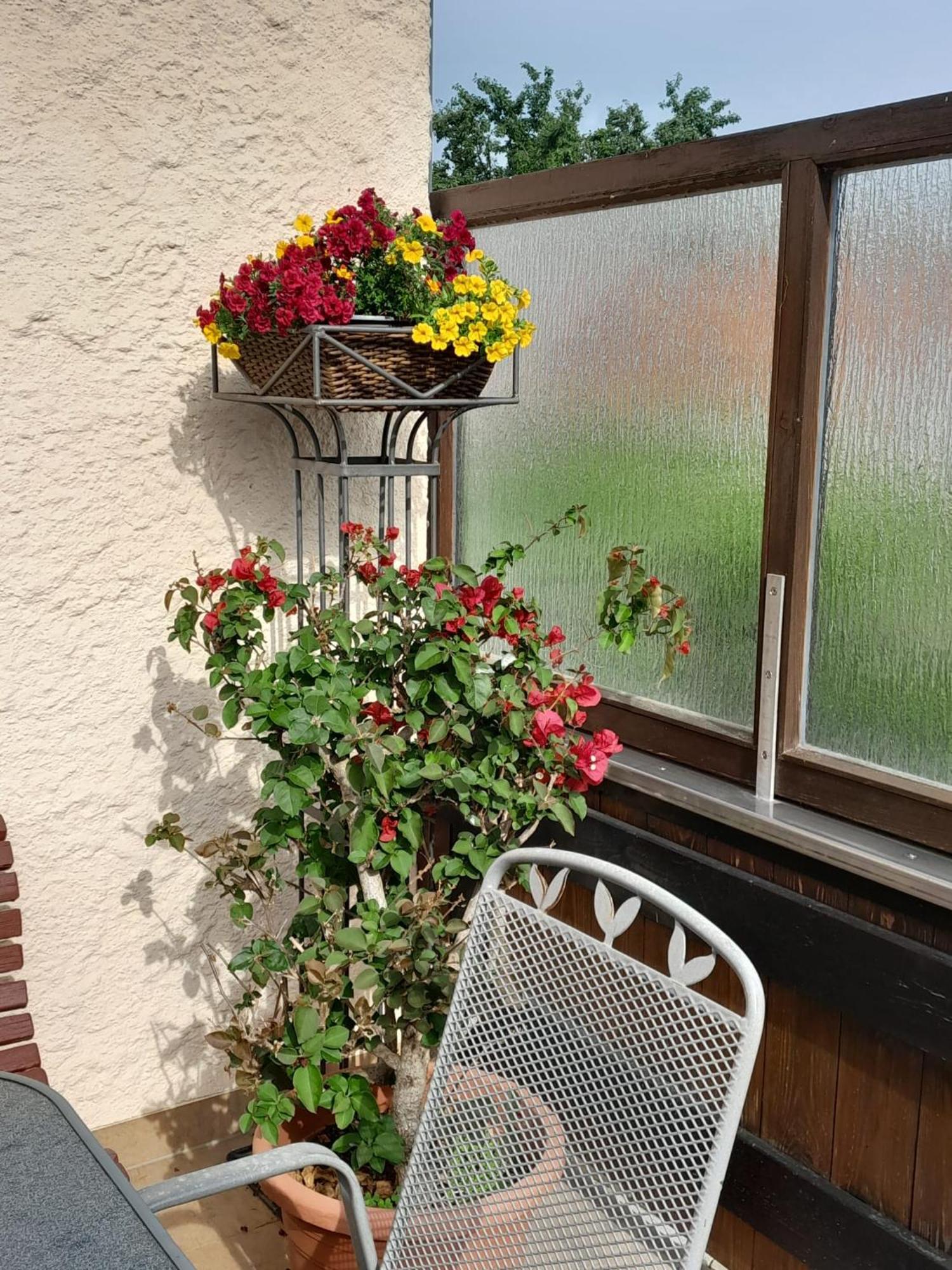 Ferienhaus Resch Laufen Exterior foto